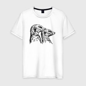 Мужская футболка хлопок с принтом Пара сурикатов в Белгороде, 100% хлопок | прямой крой, круглый вырез горловины, длина до линии бедер, слегка спущенное плечо. | 
