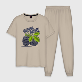 Мужская пижама хлопок с принтом Blackberry в Тюмени, 100% хлопок | брюки и футболка прямого кроя, без карманов, на брюках мягкая резинка на поясе и по низу штанин
 | Тематика изображения на принте: 