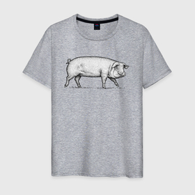 Мужская футболка хлопок с принтом Свинья в профиль в Санкт-Петербурге, 100% хлопок | прямой крой, круглый вырез горловины, длина до линии бедер, слегка спущенное плечо. | 