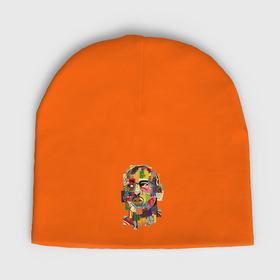 Мужская шапка демисезонная с принтом Jordan colors в Петрозаводске,  |  | Тематика изображения на принте: 
