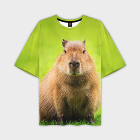 Мужская футболка oversize 3D с принтом Capybara on green grass в Петрозаводске,  |  | Тематика изображения на принте: 