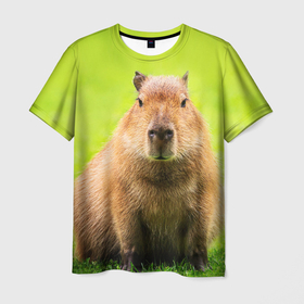Мужская футболка 3D с принтом Capybara on green grass в Курске, 100% полиэфир | прямой крой, круглый вырез горловины, длина до линии бедер | 