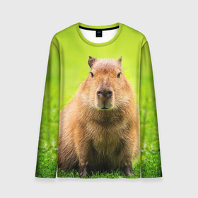 Мужской лонгслив 3D с принтом Capybara on green grass в Белгороде, 100% полиэстер | длинные рукава, круглый вырез горловины, полуприлегающий силуэт | 