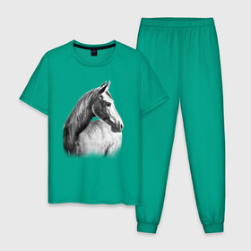 Мужская пижама хлопок с принтом Лошадь оглянулась в Петрозаводске, 100% хлопок | брюки и футболка прямого кроя, без карманов, на брюках мягкая резинка на поясе и по низу штанин
 | 