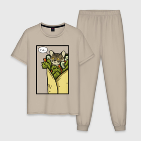 Мужская пижама хлопок с принтом Кот в шаурме в Тюмени, 100% хлопок | брюки и футболка прямого кроя, без карманов, на брюках мягкая резинка на поясе и по низу штанин
 | Тематика изображения на принте: 