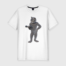 Мужская футболка хлопок Slim с принтом Кот с гантелей в Белгороде, 92% хлопок, 8% лайкра | приталенный силуэт, круглый вырез ворота, длина до линии бедра, короткий рукав | 