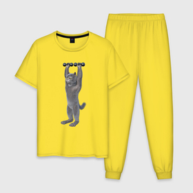 Мужская пижама хлопок с принтом Кот с гантелями вверх в Белгороде, 100% хлопок | брюки и футболка прямого кроя, без карманов, на брюках мягкая резинка на поясе и по низу штанин
 | 
