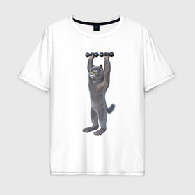 Мужская футболка хлопок Oversize с принтом Кот с гантелями вверх в Тюмени, 100% хлопок | свободный крой, круглый ворот, “спинка” длиннее передней части | Тематика изображения на принте: 
