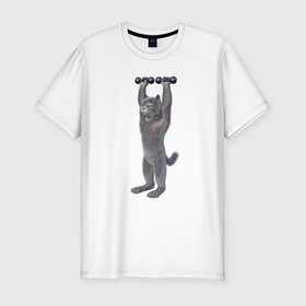 Мужская футболка хлопок Slim с принтом Кот с гантелями вверх в Белгороде, 92% хлопок, 8% лайкра | приталенный силуэт, круглый вырез ворота, длина до линии бедра, короткий рукав | 