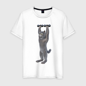 Мужская футболка хлопок с принтом Кот с гантелями вверх в Белгороде, 100% хлопок | прямой крой, круглый вырез горловины, длина до линии бедер, слегка спущенное плечо. | 