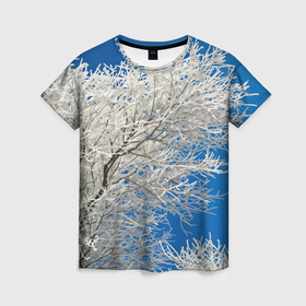 Женская футболка 3D с принтом Белые ветки дерева на фоне неба , 100% полиэфир ( синтетическое хлопкоподобное полотно) | прямой крой, круглый вырез горловины, длина до линии бедер | 