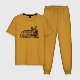 Мужская пижама хлопок с принтом Французский бульдог лежит , 100% хлопок | брюки и футболка прямого кроя, без карманов, на брюках мягкая резинка на поясе и по низу штанин
 | 