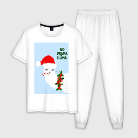 Мужская пижама хлопок с принтом Лама Санта Клаус no drama llama в Петрозаводске, 100% хлопок | брюки и футболка прямого кроя, без карманов, на брюках мягкая резинка на поясе и по низу штанин
 | Тематика изображения на принте: 