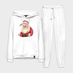 Мужской костюм хлопок с толстовкой с принтом Дед мороз с улыбкой в Кировске,  |  | 