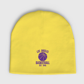 Мужская шапка демисезонная с принтом Basketball Los Angeles в Белгороде,  |  | Тематика изображения на принте: 