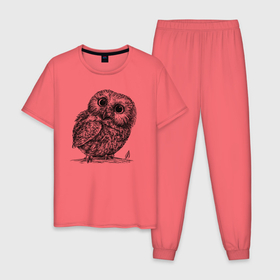 Мужская пижама хлопок с принтом Совёнок гравюра в Курске, 100% хлопок | брюки и футболка прямого кроя, без карманов, на брюках мягкая резинка на поясе и по низу штанин
 | 