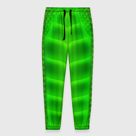 Мужские брюки 3D с принтом Чешуя зеленого дракона , 100% полиэстер | манжеты по низу, эластичный пояс регулируется шнурком, по бокам два кармана без застежек, внутренняя часть кармана из мелкой сетки | 