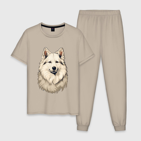 Мужская пижама хлопок с принтом Портрет пушистой собаки в Екатеринбурге, 100% хлопок | брюки и футболка прямого кроя, без карманов, на брюках мягкая резинка на поясе и по низу штанин
 | 