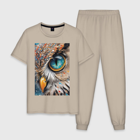 Мужская пижама хлопок с принтом Глаз совы   нейросеть в Петрозаводске, 100% хлопок | брюки и футболка прямого кроя, без карманов, на брюках мягкая резинка на поясе и по низу штанин
 | 