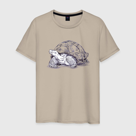 Мужская футболка хлопок с принтом Черепаха любопытная в Санкт-Петербурге, 100% хлопок | прямой крой, круглый вырез горловины, длина до линии бедер, слегка спущенное плечо. | 