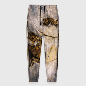 Мужские брюки 3D с принтом Текстура пня сосны в Петрозаводске, 100% полиэстер | манжеты по низу, эластичный пояс регулируется шнурком, по бокам два кармана без застежек, внутренняя часть кармана из мелкой сетки | 