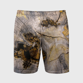 Мужские шорты спортивные с принтом Текстура пня сосны в Тюмени,  |  | 