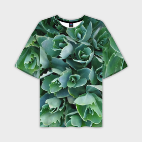 Мужская футболка oversize 3D с принтом Садовые растения в Санкт-Петербурге,  |  | 