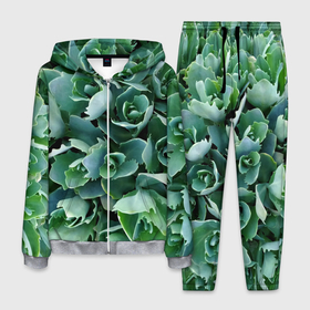Мужской костюм 3D с принтом Садовые растения в Курске, 100% полиэстер | Манжеты и пояс оформлены тканевой резинкой, двухслойный капюшон со шнурком для регулировки, карманы спереди | 