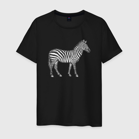 Мужская футболка хлопок с принтом Гравюра зебра в профиль в Тюмени, 100% хлопок | прямой крой, круглый вырез горловины, длина до линии бедер, слегка спущенное плечо. | 