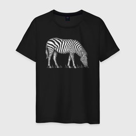 Мужская футболка хлопок с принтом Гравюра зебра пасется в Тюмени, 100% хлопок | прямой крой, круглый вырез горловины, длина до линии бедер, слегка спущенное плечо. | 