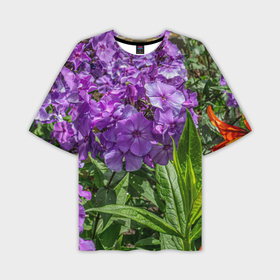 Мужская футболка oversize 3D с принтом Фиолетовый флоксы в саду в Тюмени,  |  | Тематика изображения на принте: 