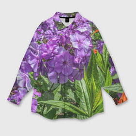 Мужская рубашка oversize 3D с принтом Фиолетовый флоксы в саду в Тюмени,  |  | Тематика изображения на принте: 