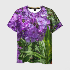 Мужская футболка 3D с принтом Фиолетовый флоксы в саду в Тюмени, 100% полиэфир | прямой крой, круглый вырез горловины, длина до линии бедер | Тематика изображения на принте: 