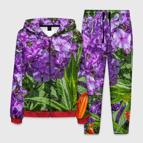 Мужской костюм 3D с принтом Фиолетовый флоксы в саду в Тюмени, 100% полиэстер | Манжеты и пояс оформлены тканевой резинкой, двухслойный капюшон со шнурком для регулировки, карманы спереди | Тематика изображения на принте: 