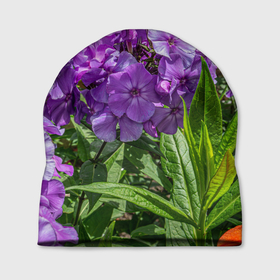 Шапка 3D с принтом Фиолетовый флоксы в саду в Тюмени, 100% полиэстер | универсальный размер, печать по всей поверхности изделия | Тематика изображения на принте: 