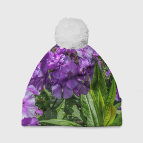 Шапка 3D c помпоном с принтом Фиолетовый флоксы в саду в Тюмени, 100% полиэстер | универсальный размер, печать по всей поверхности изделия | Тематика изображения на принте: 
