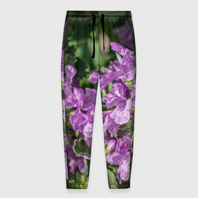Мужские брюки 3D с принтом Лиловые цветы Буквицы в саду , 100% полиэстер | манжеты по низу, эластичный пояс регулируется шнурком, по бокам два кармана без застежек, внутренняя часть кармана из мелкой сетки | 