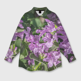 Мужская рубашка oversize 3D с принтом Лиловые цветы Буквицы в саду ,  |  | 