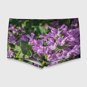 Мужские купальные плавки 3D с принтом Лиловые цветы Буквицы в саду , Полиэстер 85%, Спандекс 15% |  | 
