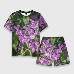 Мужской костюм с шортами 3D с принтом Лиловые цветы Буквицы в саду ,  |  | 