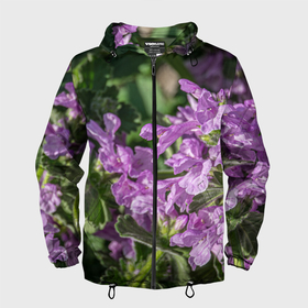 Мужская ветровка 3D с принтом Лиловые цветы Буквицы в саду в Тюмени, 100% полиэстер | подол и капюшон оформлены резинкой с фиксаторами, два кармана без застежек по бокам, один потайной карман на груди | 