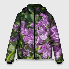 Мужская зимняя куртка 3D с принтом Лиловые цветы Буквицы в саду , верх — 100% полиэстер; подкладка — 100% полиэстер; утеплитель — 100% полиэстер | длина ниже бедра, свободный силуэт Оверсайз. Есть воротник-стойка, отстегивающийся капюшон и ветрозащитная планка. 

Боковые карманы с листочкой на кнопках и внутренний карман на молнии. | 