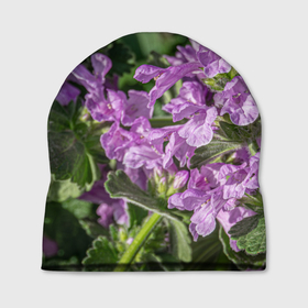 Шапка 3D с принтом Лиловые цветы Буквицы в саду в Тюмени, 100% полиэстер | универсальный размер, печать по всей поверхности изделия | 