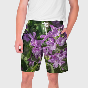 Мужские шорты 3D с принтом Лиловые цветы Буквицы в саду в Кировске,  полиэстер 100% | прямой крой, два кармана без застежек по бокам. Мягкая трикотажная резинка на поясе, внутри которой широкие завязки. Длина чуть выше колен | 