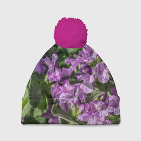 Шапка 3D c помпоном с принтом Лиловые цветы Буквицы в саду в Тюмени, 100% полиэстер | универсальный размер, печать по всей поверхности изделия | 
