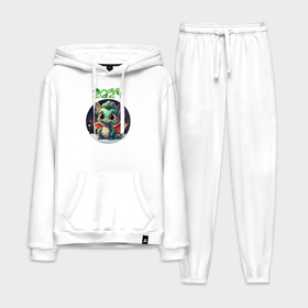 Мужской костюм хлопок с толстовкой с принтом Драконёнок 2024 в городе Новоалтайск,  |  | 