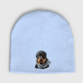 Мужская шапка демисезонная с принтом Ротвейлер в шапке в Кировске,  |  | Тематика изображения на принте: 