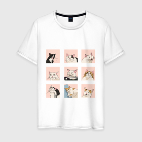 Мужская футболка хлопок с принтом Мемные коты в Екатеринбурге, 100% хлопок | прямой крой, круглый вырез горловины, длина до линии бедер, слегка спущенное плечо. | 