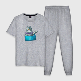 Мужская пижама хлопок с принтом Смешной котик в лежанке в Тюмени, 100% хлопок | брюки и футболка прямого кроя, без карманов, на брюках мягкая резинка на поясе и по низу штанин
 | 