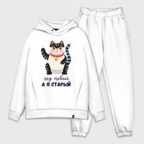 Мужской костюм oversize хлопок с принтом Кот в Новый год в городе Новоалтайск,  |  | 